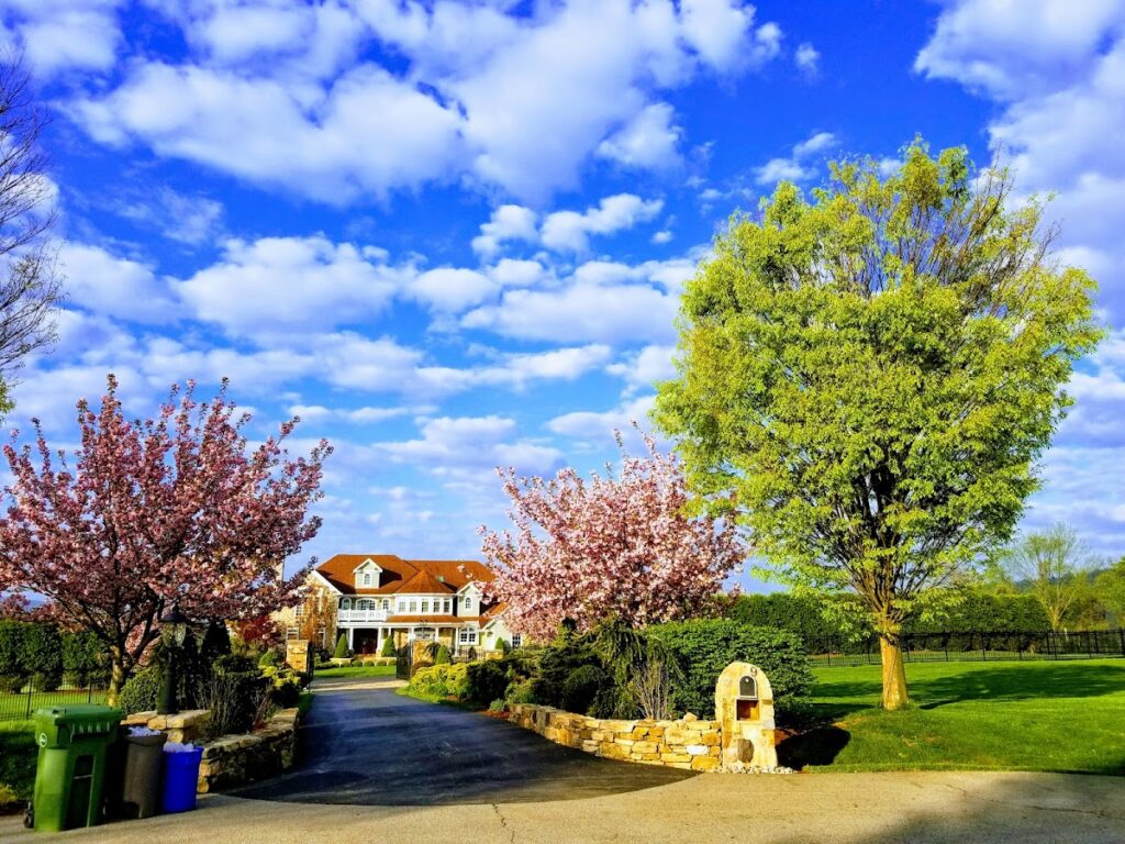 Basement Waterproofing in Califon, NJ service area