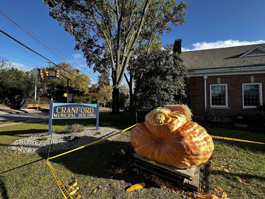 Basement Waterproofing in Cranford, NJ service area