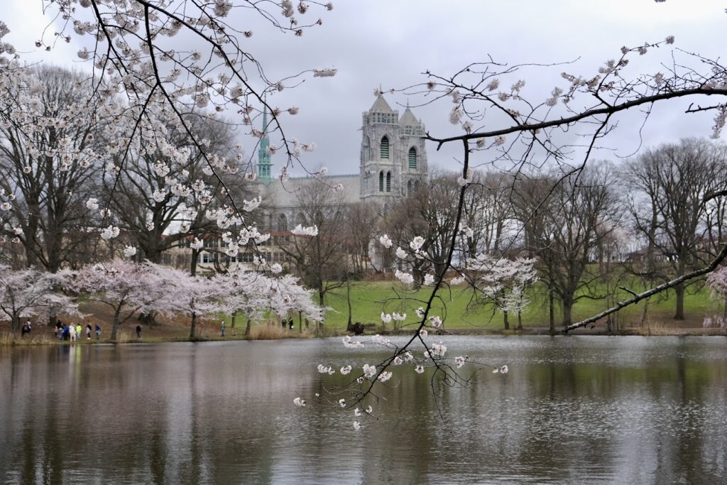 Basement Waterproofing in East Newark, NJ
