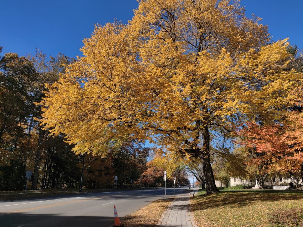 Basement Waterproofing in Glen Ridge, NJ service area
