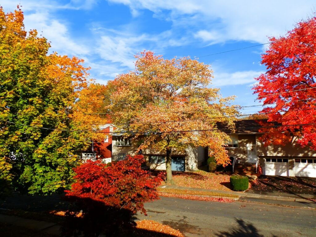 Basement Waterproofing in Kenilworth, NJ service area