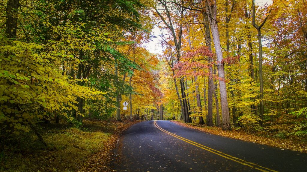 Basement Waterproofing in Mountainside, NJ service area