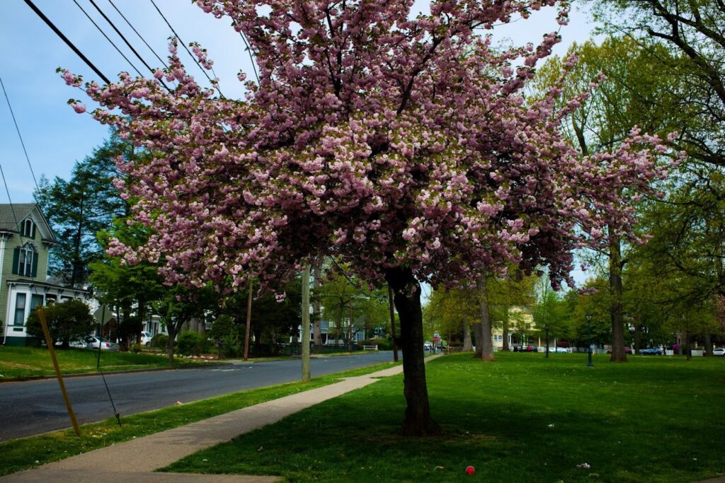 Basement Waterproofing in Plainfield, NJ service area