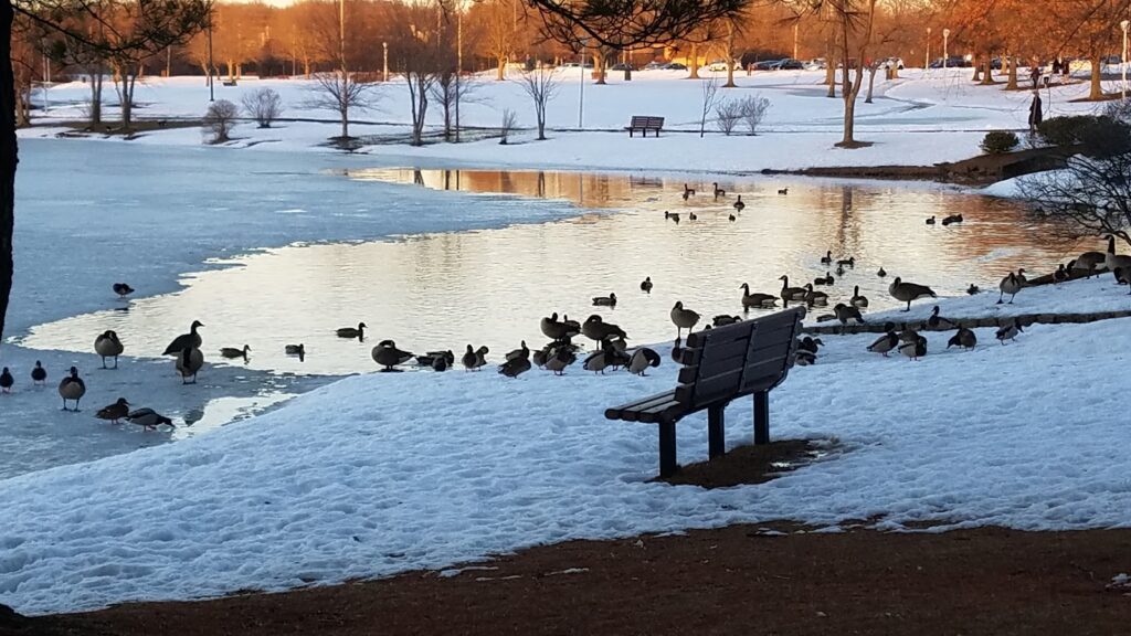 Basement Waterproofing in Sayreville, NJ service area