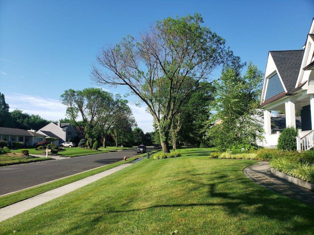 Basement Waterproofing in Sea Girt, NJ service area