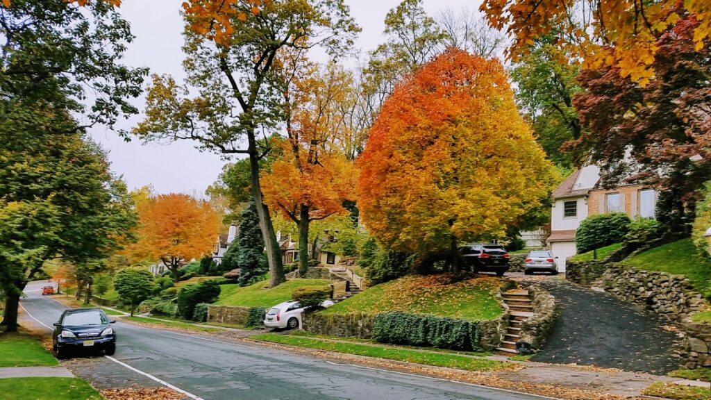 Basement Waterproofing in South Orange, NJ service area
