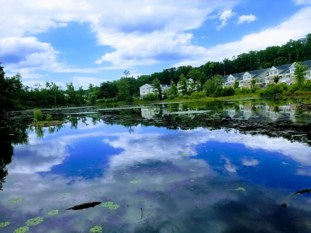Basement Waterproofing in Morris Plains, NJ service area
